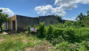 WhatsApp Image 2026-02-13 at 17.29.52 1.jpeg